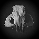 Telegram profile photo for Krafal_Sever_154