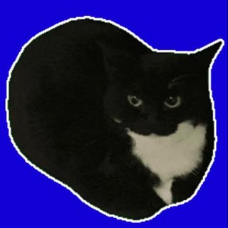 Telegram profile photo for Maxwellcat Official Community