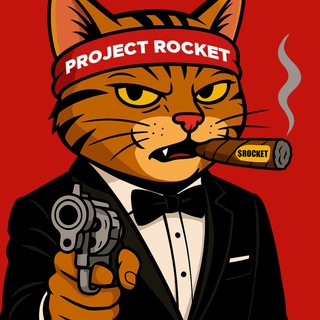 Telegram profile photo for Project Rocket