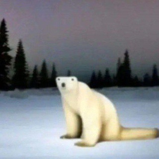 Telegram profile photo for ПЕРЕЕЗД