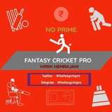 Telegram profile photo for Fantasy Cricket Pro - Trading