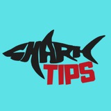 Telegram profile photo for ˢʰᵃʳᵏ ᵗⁱᵖˢ 🦈