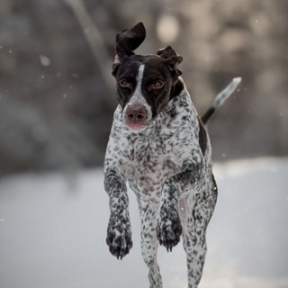 Telegram profile photo for Эри и Рита ( заметки )