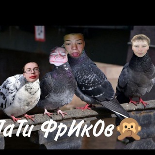 Telegram profile photo for ПаТи ФрИкОв
