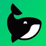 Telegram profile photo for Watcher Guru