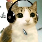 Telegram profile photo for Льняное поле🌙