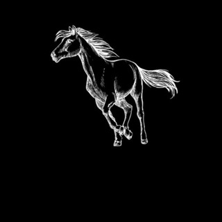 Telegram profile photo for Ammunition and goodies for horses