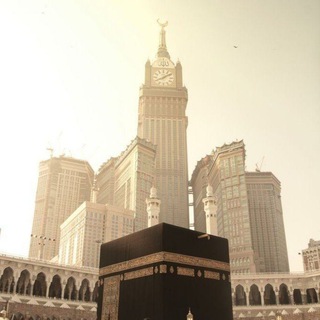Telegram profile photo for رفيقتكـ للجنة