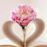 Telegram profile photo for رسائل المتابعين - قطوف 🌷