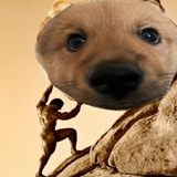 Telegram profile photo for БОБИК И ВЖЫК🐕
