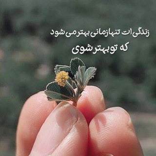 Telegram profile photo for شکوه ثروت