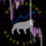 Telegram profile photo for NGU (old)