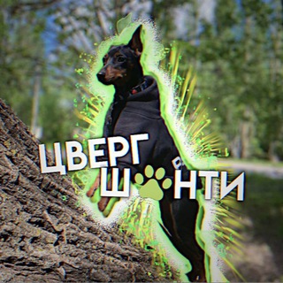 Telegram profile photo for 𝑺𝒉𝒂𝒏𝒕𝒚 𝒛𝒗𝒆𝒓𝒈🍀