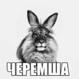 Telegram profile photo for ℒ𝒾𝒻ℯ 𝒩𝒶𝓃ℴ 𝒻𝓁ℴℴ𝒹