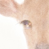 Telegram profile photo for lumetormi