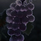 Telegram profile photo for vinodel info