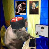 Telegram profile photo for Мамкен Хатскер