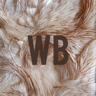 Telegram profile photo for Etlesya_wb
