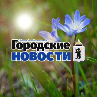 Telegram profile photo for Городские Новости