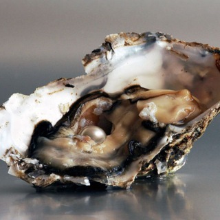 Telegram profile photo for Будь как устричка