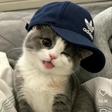Telegram profile photo for Sarviwimm
