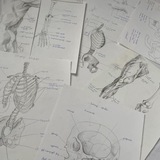 Telegram profile photo for سنة ثالثة طب l طالب علم