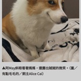 Telegram profile photo for Sundog's Real Name - $MAY CTO