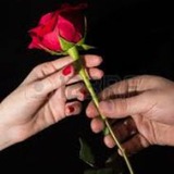 Telegram profile photo for راهنمای ازدواج به سبک ایرانی