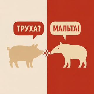 Telegram profile photo for Труха Мальта 🇲🇹