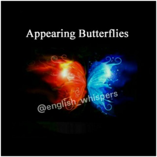 Telegram profile photo for Butterfly🦋