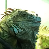 Telegram profile photo for Эффект осознания