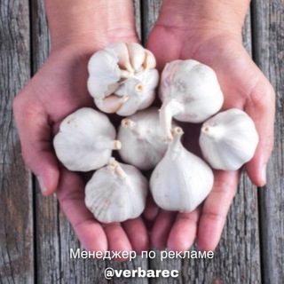 Telegram profile photo for Все о Народной Медицине