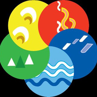 Telegram profile photo for Vanagam - Nammalvar Ecological Foundation