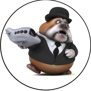 Telegram group profile photo for Доставка животных Пхукет,Паттая,Тайланд.Камбоджа.Вьетнам,Нячанг,Хошимин,Ханой,Дананг,Фукуок.Индонезия,Бали.ОАЭ.
