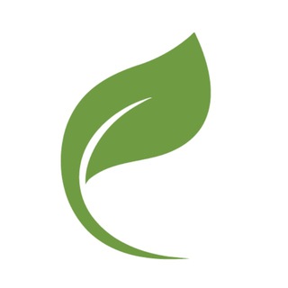 Telegram profile photo for Native English | Английский язык онлайн