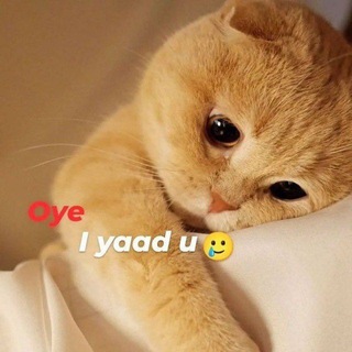 Telegram profile photo for 𓆩𝆺𝅥⃝❤️🩹᭡बुरा इंशान🙃➺♡