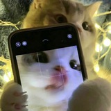Telegram profile photo for " it’s مَريَمْ "