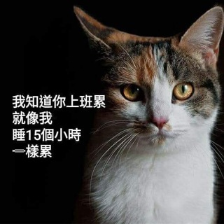 Telegram profile photo for Wai的無聊知識