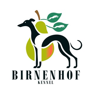 Telegram profile photo for Питомник уиппетов Birnenhof