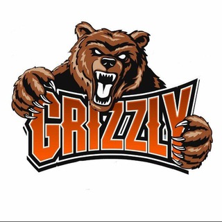 Telegram profile photo for Grizzlyprice