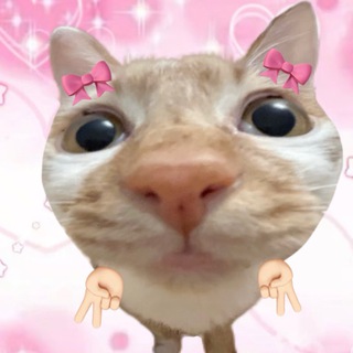 Telegram profile photo for 小故事公益和平王者三角洲穿越火线直装