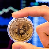 Telegram profile photo for Airdrops Fans