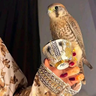 Telegram profile photo for سـهاري العـقل