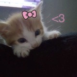 Telegram profile photo for ๐๐ธ๐ฝ๐ธ๐ผ๐ธ๐ฝ๐