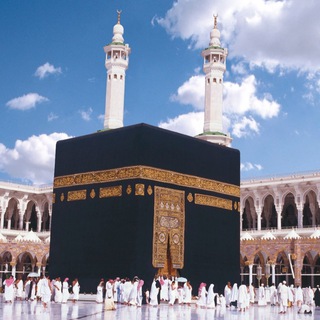 Telegram profile photo for Хадж 2🕋23