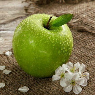 Telegram profile photo for گنجینه دانش