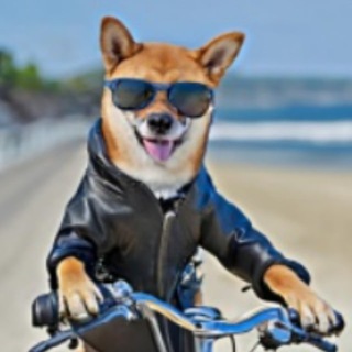 Telegram profile photo for My Shiba Inu Bep-20 Token