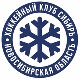 Telegram profile photo for Болельщик сибири