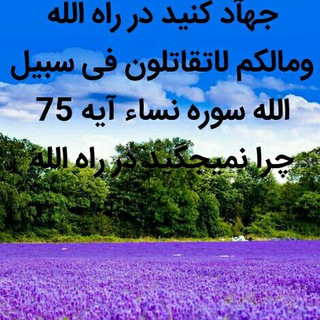 Telegram profile photo for کتاب خانه اهل سنت والجماعت