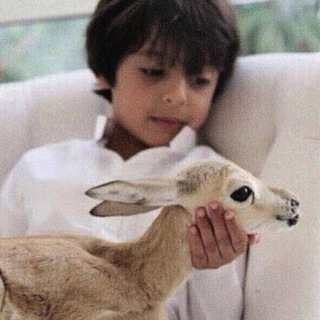 Telegram profile photo for رمزيات ⚑ .